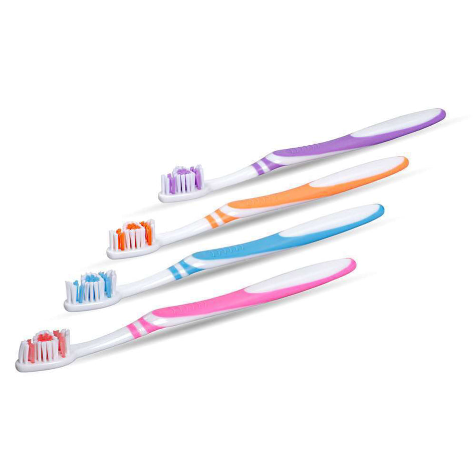 Tooth Brush Adult Premium 72/box - Mark3 #100-8895 - Gift Card $10