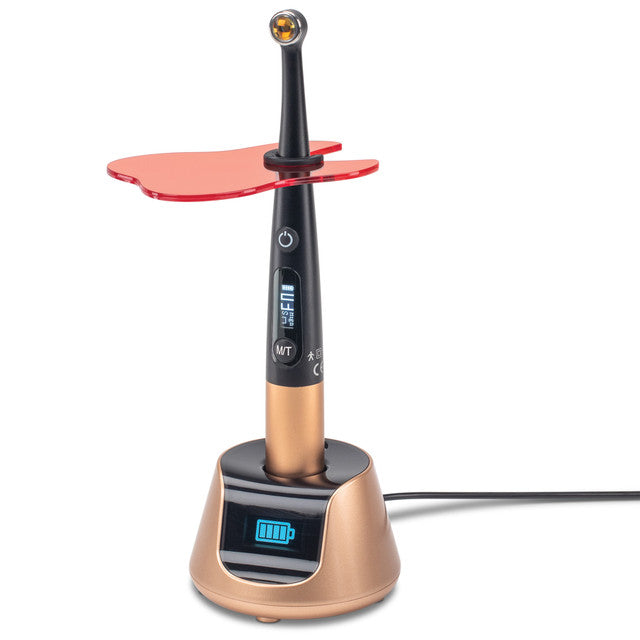 CURING LIGHT O-Star Woodpecker