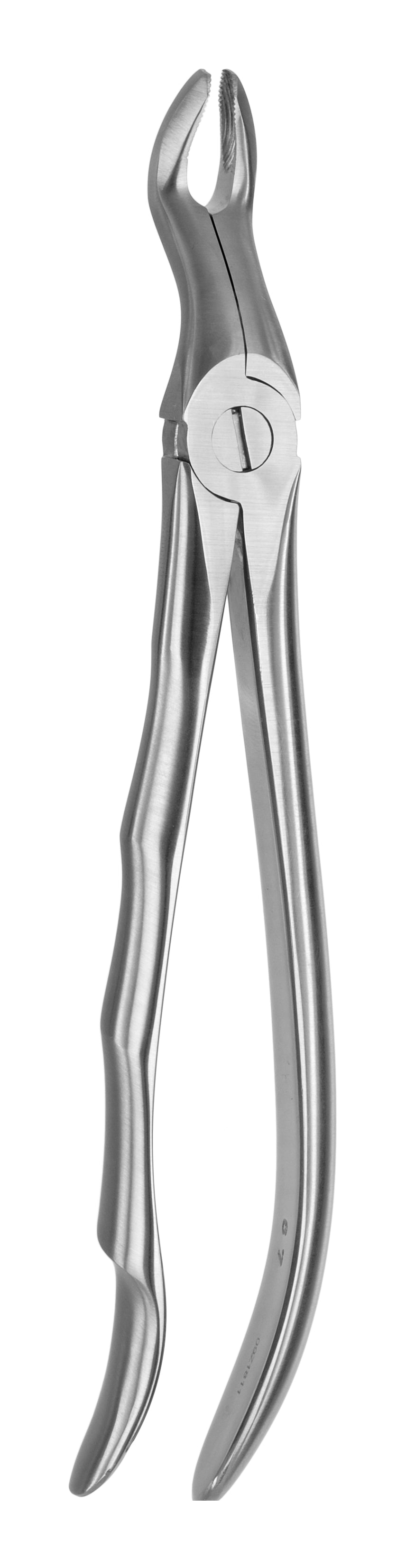 TOOTH FORCEPS BLADE BEAKS N.67 - MDSY-2400/67