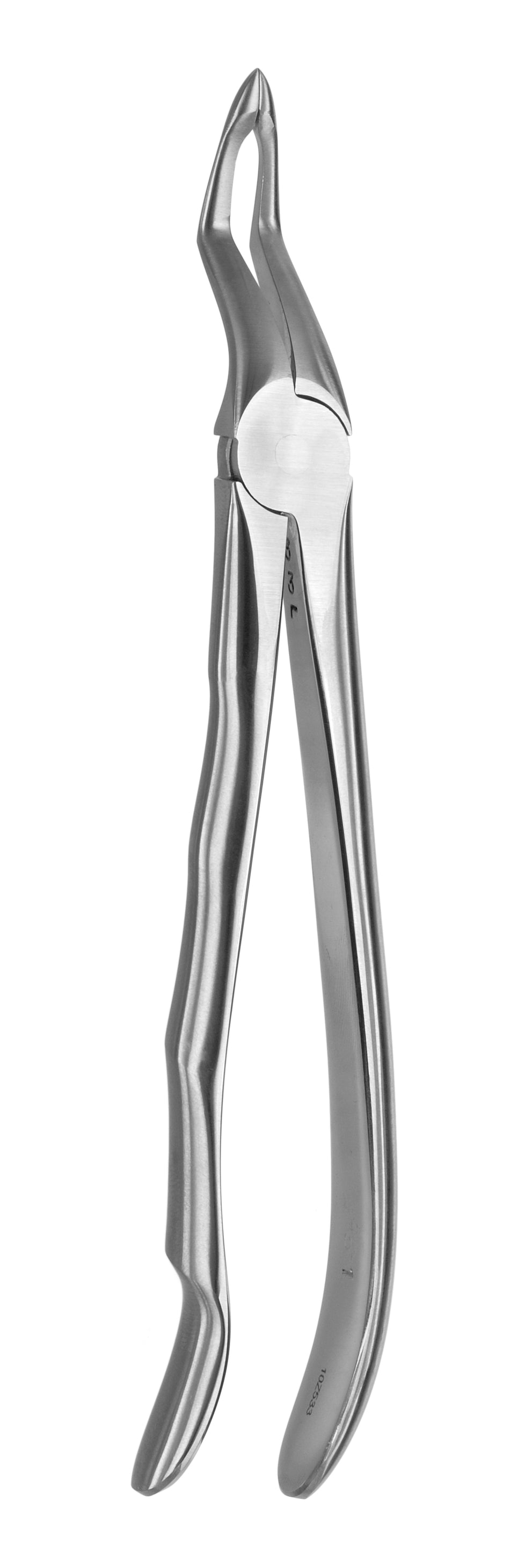 TOOTH FORCEPS BLADE BEAKS N.51-AL - MDSY-2400/51-AL