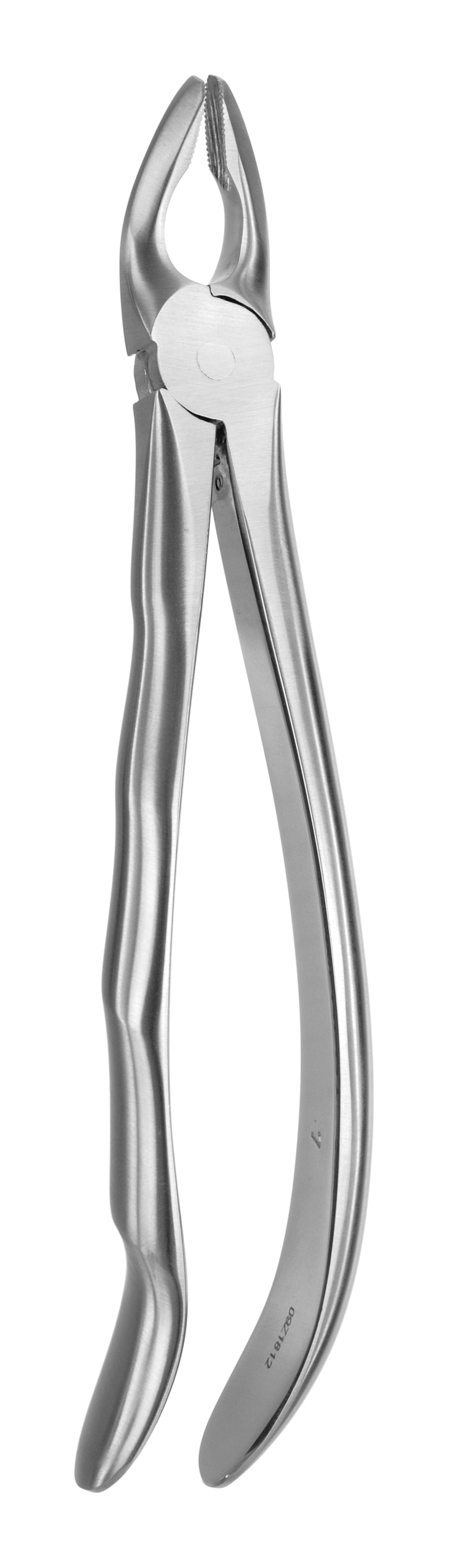 TOOTH FORCEPS BLADE BEAKS N. 7 - MDSY-182805