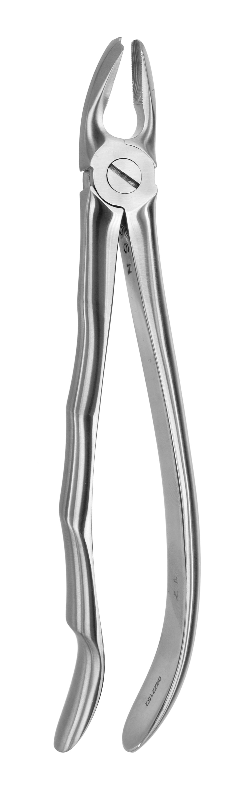 TOOTH FORCEPS BLADE BEAKS N.17 - MDSY-2400/17