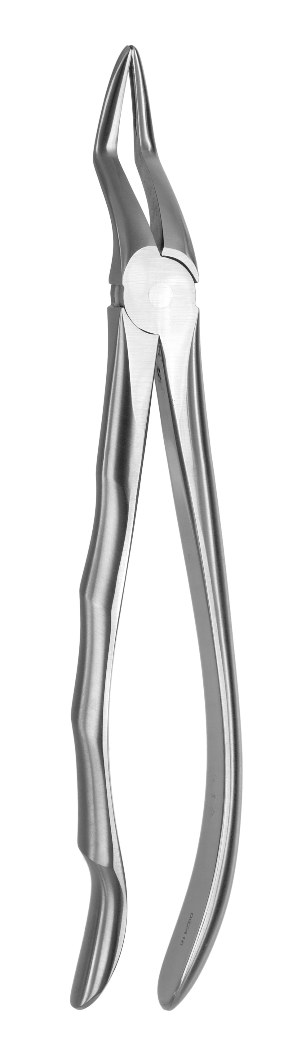 TOOTH FORCEPS BLADE BEAKS N.51 - MDSY-2400/51