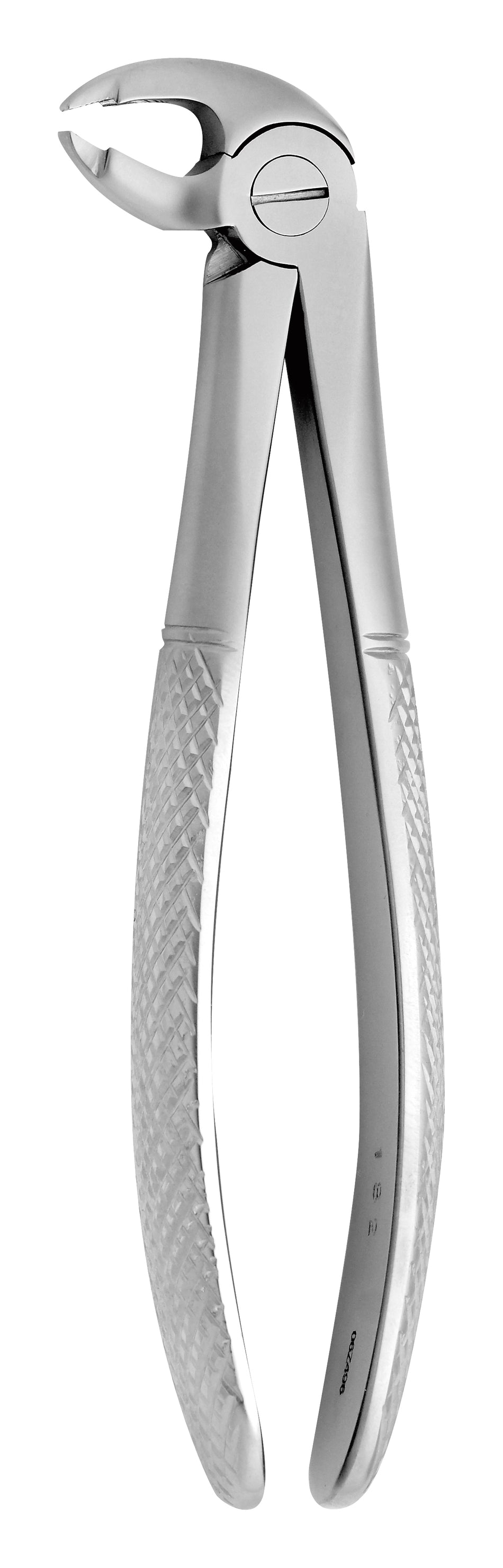 TOOTH FORCEPS N.182 - MDSY-2500/182