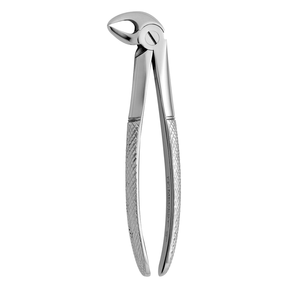 TOOTH FORCEPS N. 33 - MDSY-2500/33