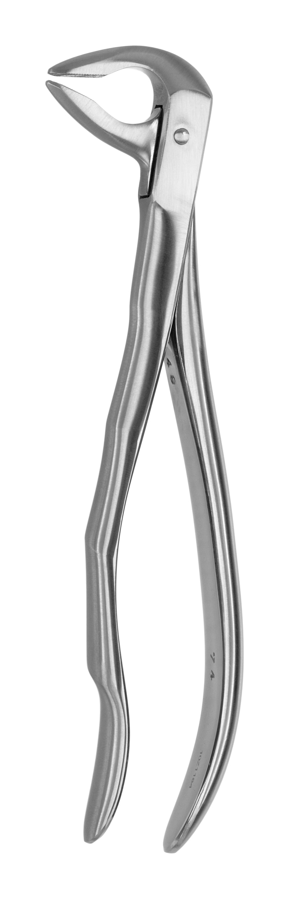 TOOTH FORCEPS BLADE BEAKS N.74 - MDSY-2400/74