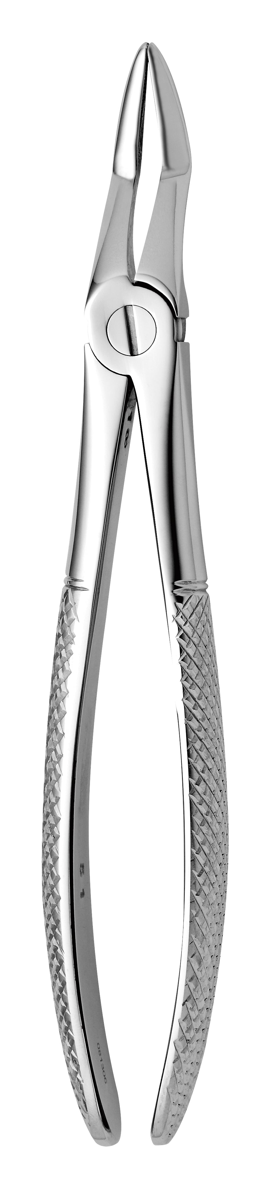TOOTH FORCEPS N. 51 - MDSY-2500/51