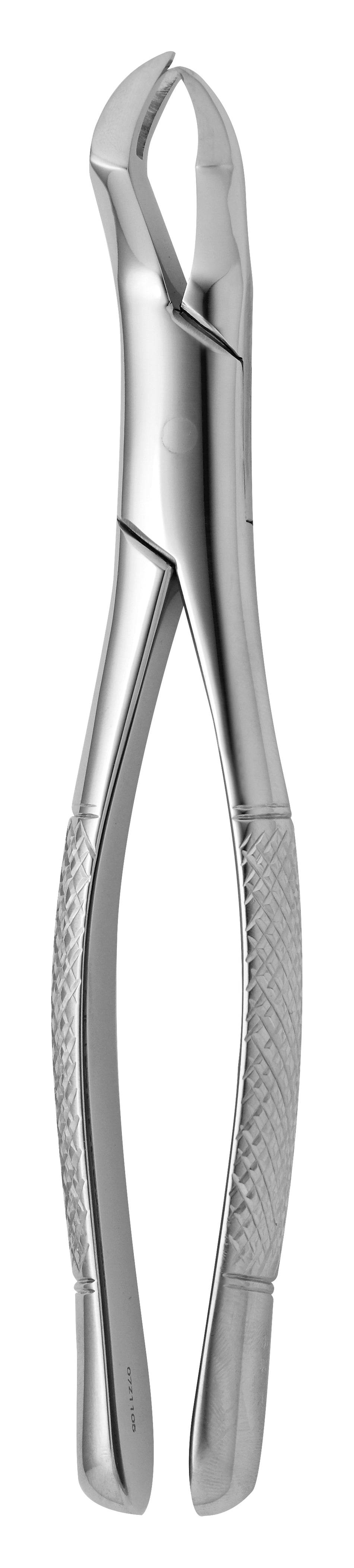 TOOTH FORCEPS AMERICAN N. 88-R - MDSY-2650/88-R