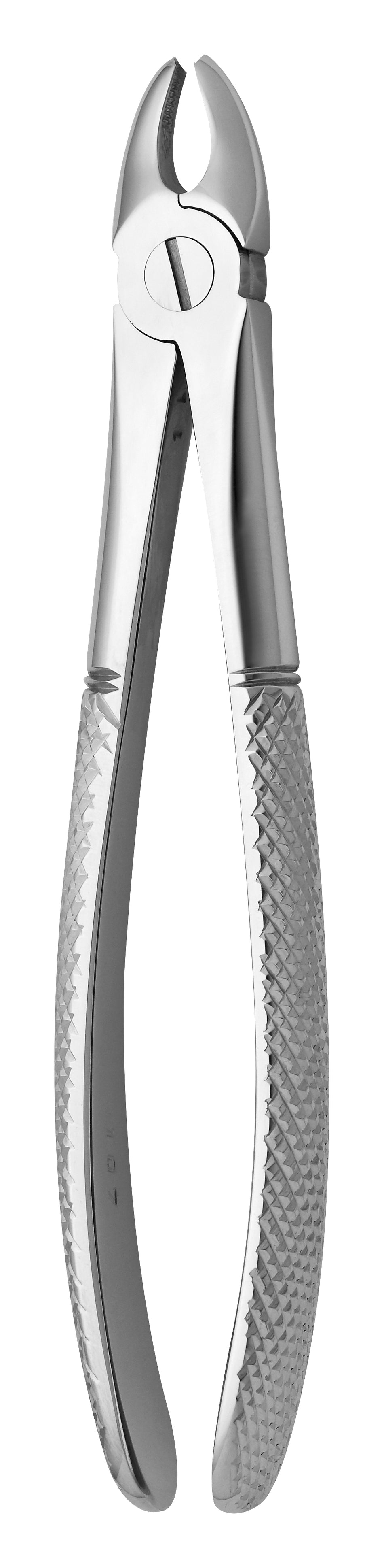TOOTH FORCEPS N.107 - MDSY-2500/107