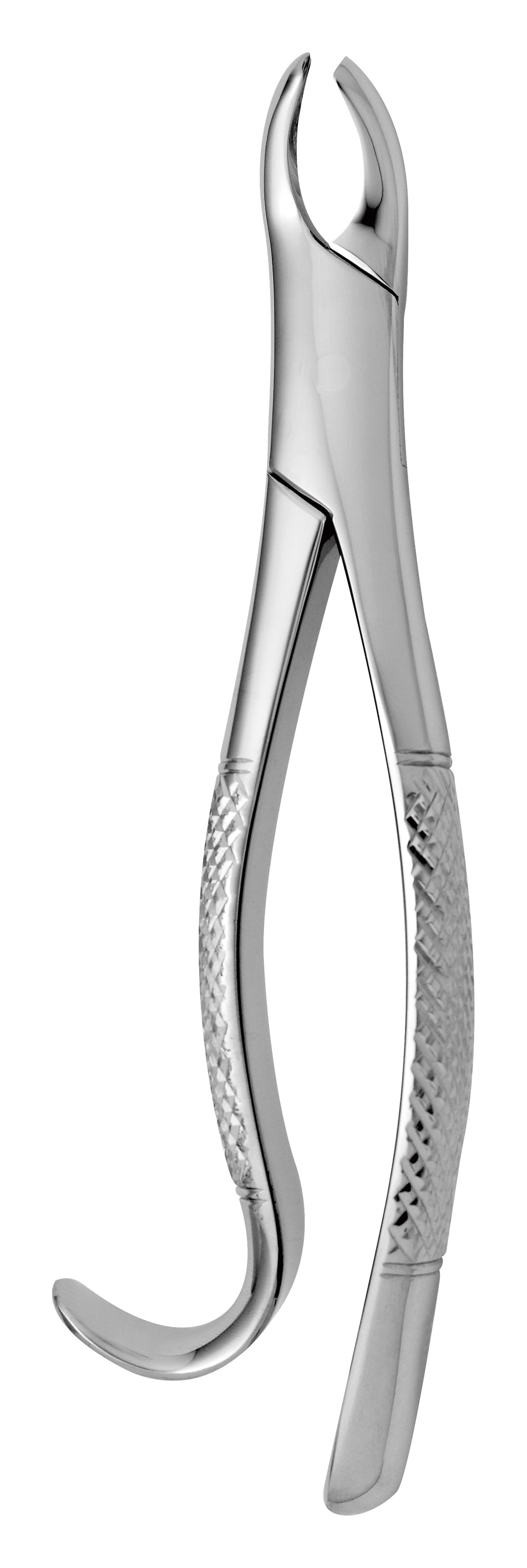 TOOTH FORCEPS AMERICAN N. 18-R - MDSY-2650/18-R