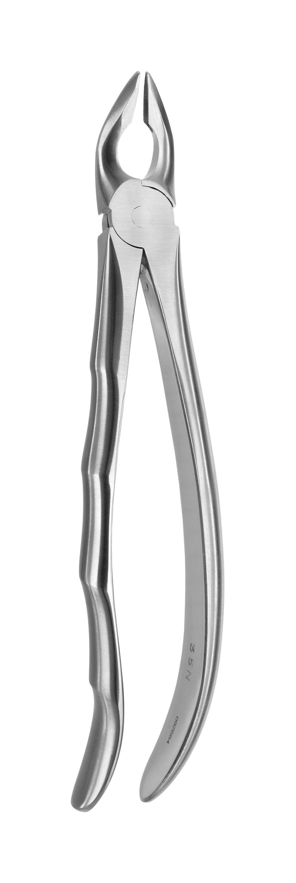 TOOTH FORCEPS BLADE BEAKS N.35-N - MDSY-2400/35-N