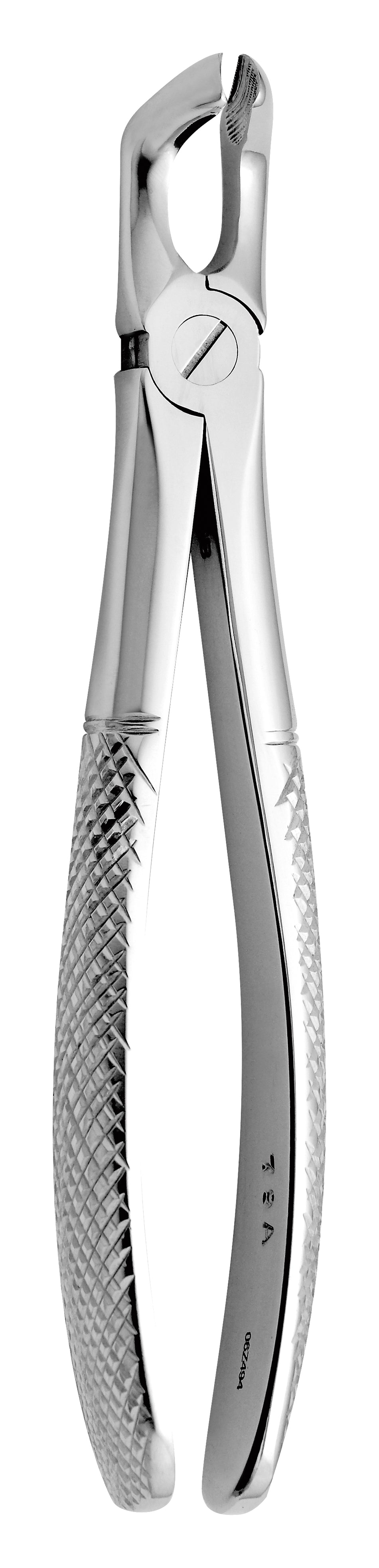 TOOTH FORCEPS N. 79-A - MDSY-2500/79-A