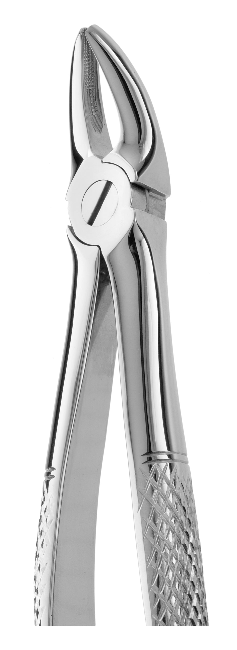 TOOTH FORCEPS N.136 - MDSY-2500/136