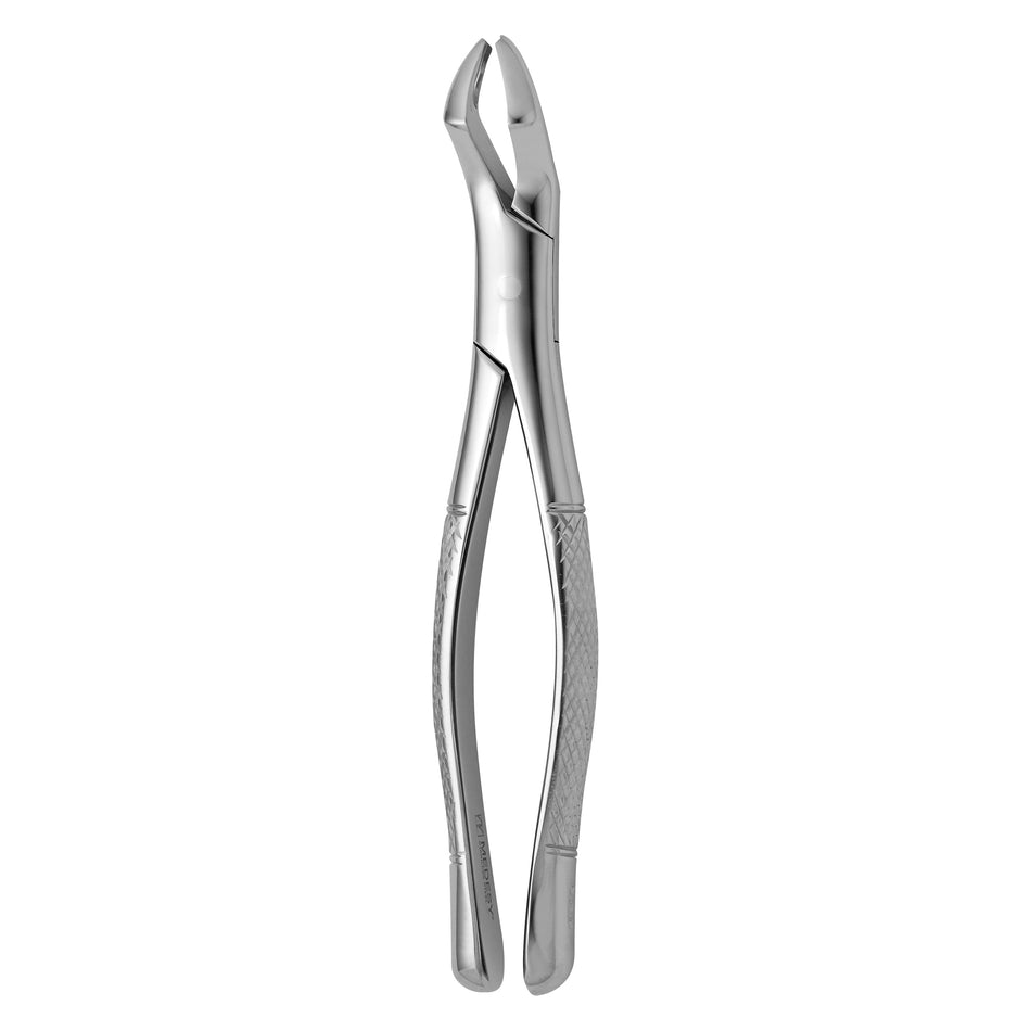 TOOTH FORCEPS AMERICAN N. 53-R - MDSY-2650/53-R