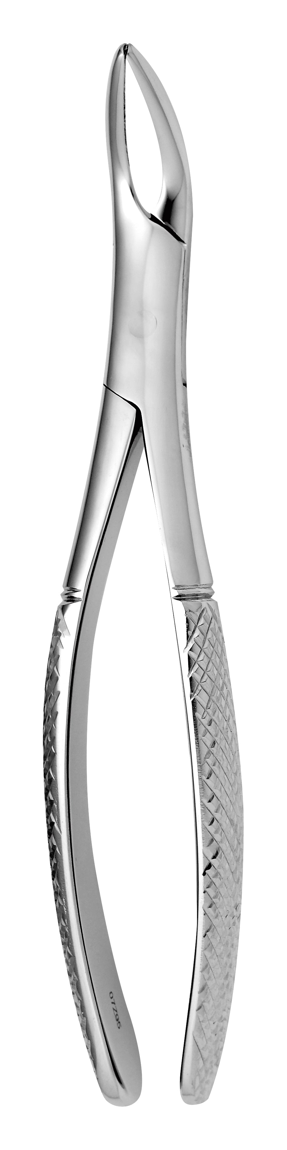 TOOTH FORCEPS WITZEL - LOWER - MDSY-2500/221