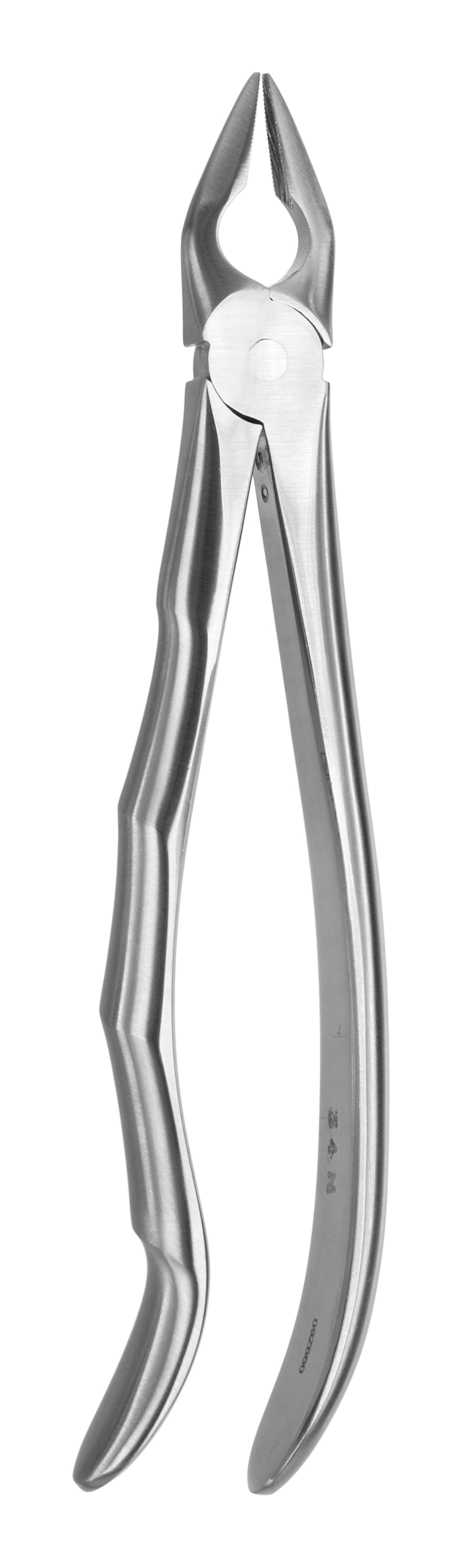 TOOTH FORCEPS BLADE BEAKS N.34-N - MDSY-2400/34-N