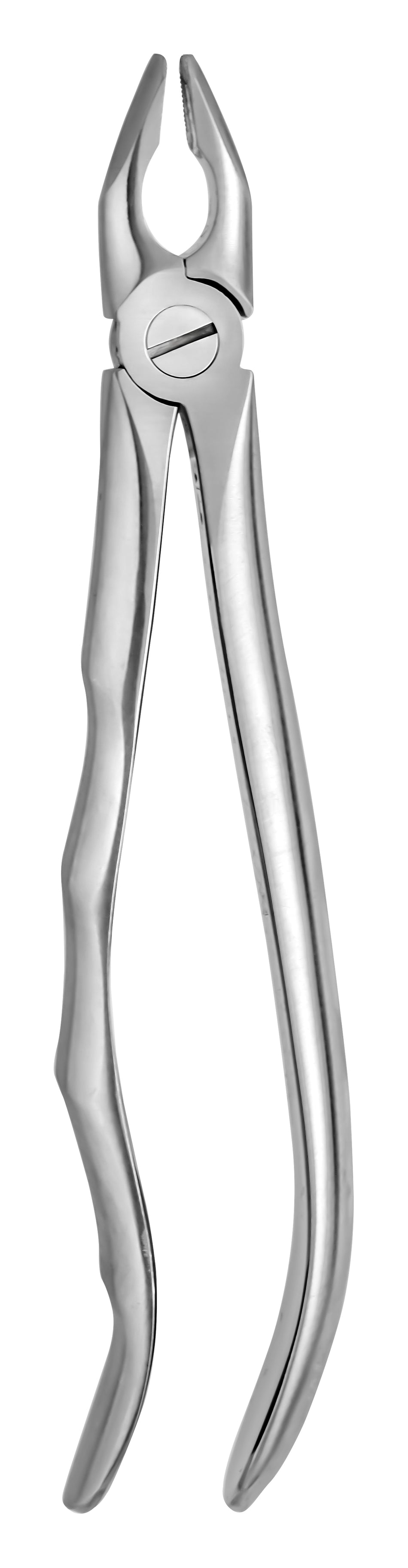 TOOTH FORCEPS BLADE BEAKS N. 1 - MDSY-182623