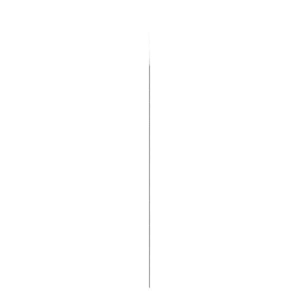Root Tip Pick 2 West Apical Ea Hu-Friedy - EW2